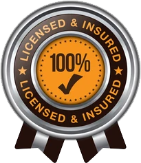 license and Insurance